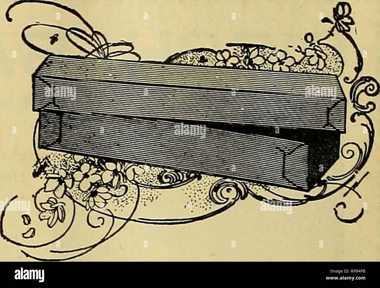 . Il fiorista americana : un giornale settimanale per il commercio. Floricoltura; fioristi. Mailing e Gut Fioriere una specialità con noi. Il Mailing pacchetti sono usati dai più grandi ai caricatori di piante e bulbi, prende meno spese postali e sono a tenuta d'acqua. I nostri fiori recisi scatole sono mois- ture-prova e vengono utilizzati 1^ tutti i negozi fioristi. Queste scatole sono spediti abbattuto piatto. Vrrite per i prezzi. La carta di Dayton Novità andare.. Menzione Pleaae AmsbioahIFlobist durante l'ordinazione. Foglio di stagno di pianura. Fantasia. Stampato e montato. Fabbricato dalla lamina Conley Company, S21 e S4C1 ATVest 2@tli tSt., Boston fioraio lettera Foto Stock