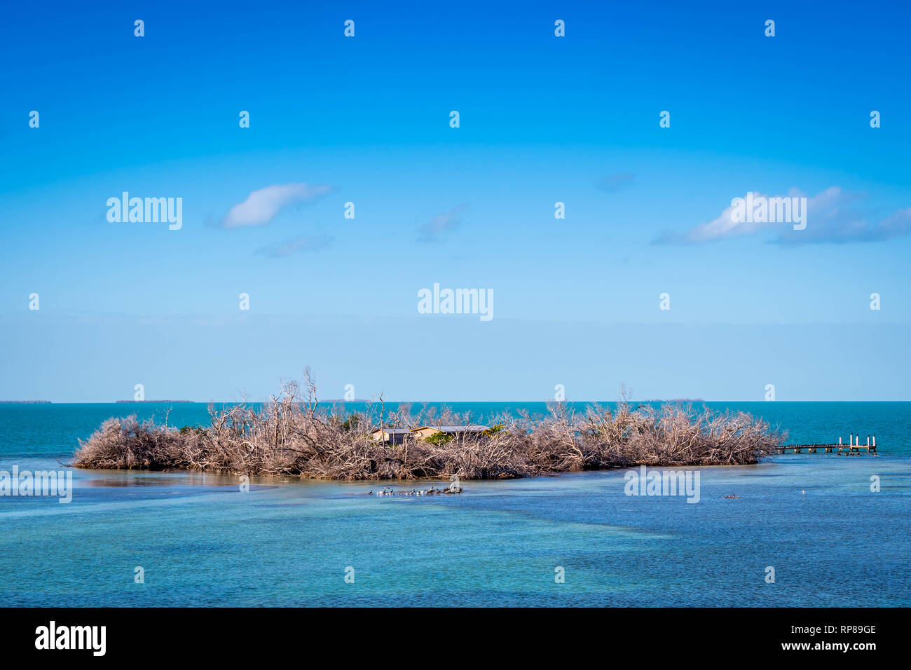 Un fantastico blu chiaro meteo e di un lago calmo nei tasti, Florida Foto Stock