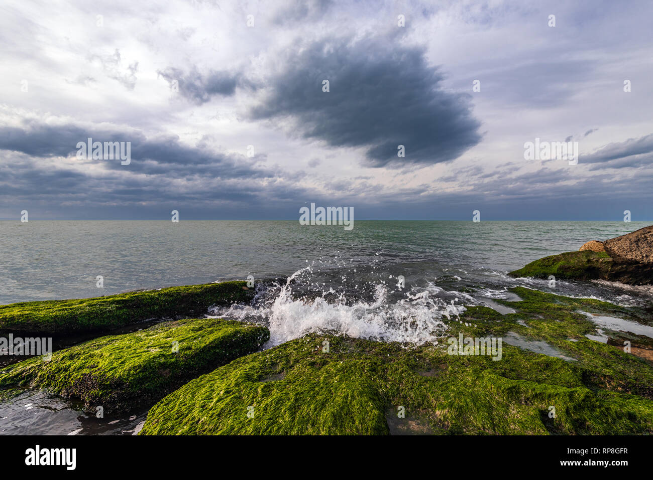 Colori del mare a riva con le alghe verdi Foto Stock