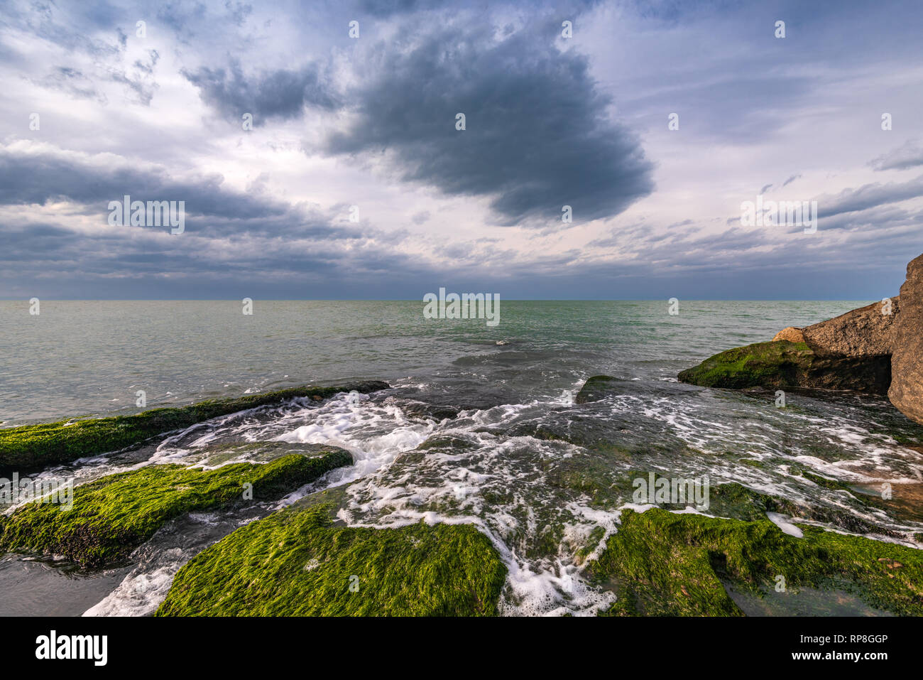 Colori del mare a riva con le alghe verdi Foto Stock