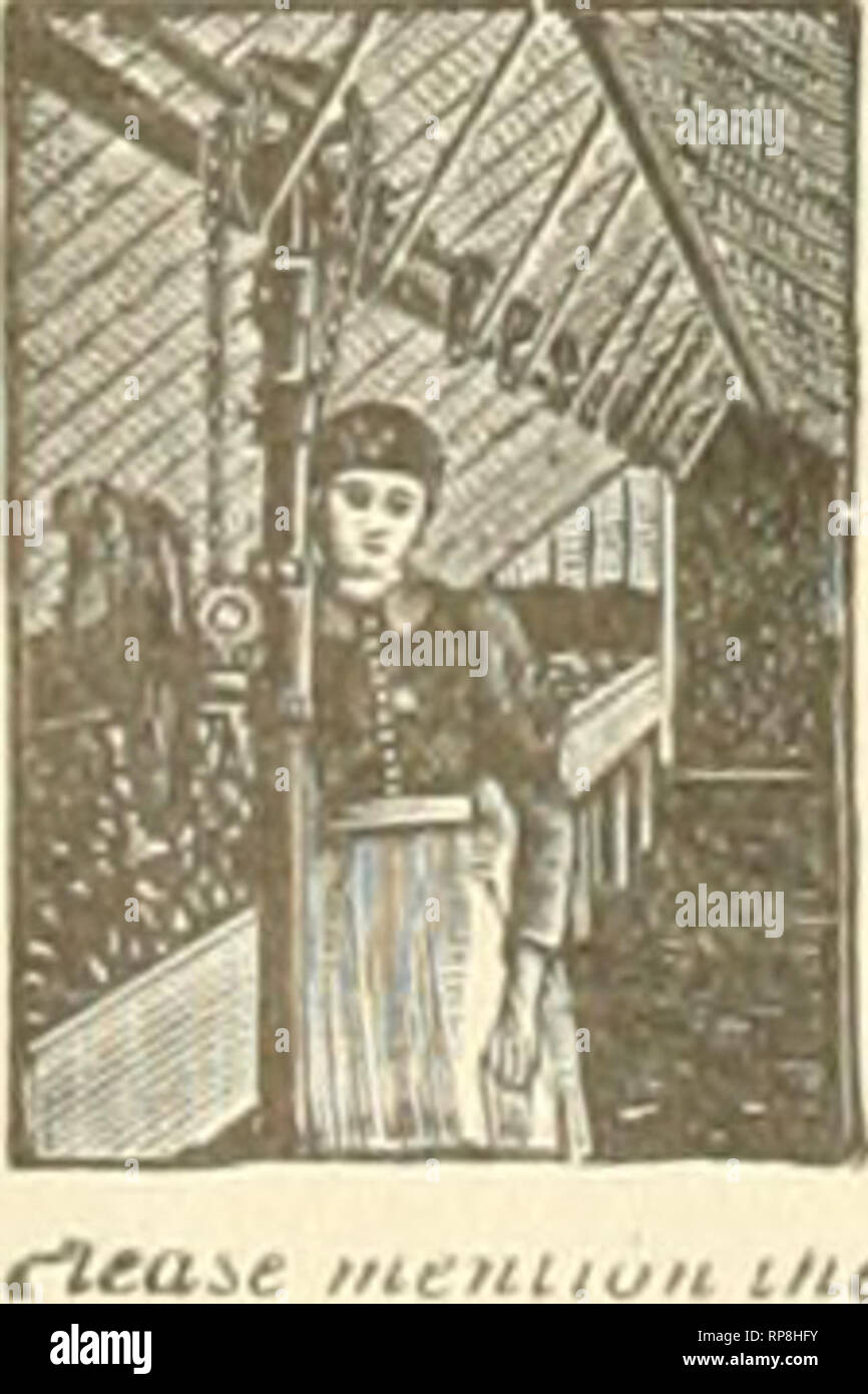 . Il fiorista americana : un giornale settimanale per il commercio. Floricoltura; fioristi. Il Clipper farà., chiedete al vostro concessionario per Ihem. Se essi non hanno ricevuto la loro, di seguito è riportato il prezzo: No. 1-12 pollici tosaerba 5 dollari; n. 2-15 pollici tosaerba. J6; n. 3-18 pollici tosaerba. S7: No. 4-21-in. Tosaerba. $8. Progetto di inviare vaglia o reg. lettera. Hleas tnentin^^i tfif Anj^npossibile Plny-tst "ivupniiryit^ns LVANS" migliorata VtMniATIMC APPAJlArUS wRiTt per illu5rRATtD '.ATAlOCUE gi/AKffi c/rrMACHmwom. ^R-^4r^r--^r- Richmond. &Lt;noi egli Ameiican /•"iomi quando -wfiting,. Si prega di notare che queste immagini sono estratte da sca Foto Stock