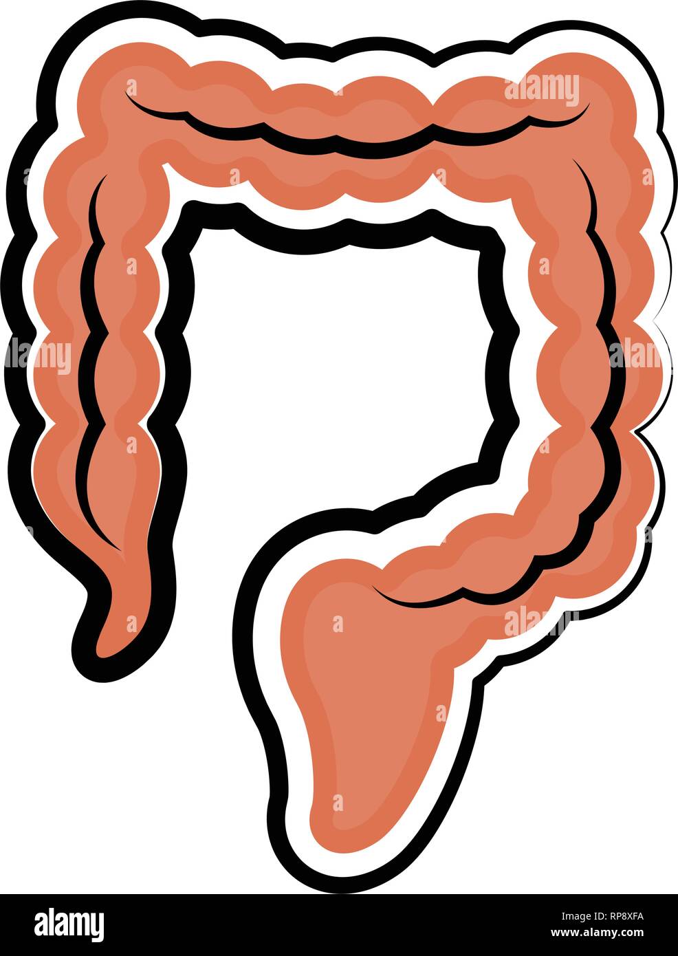 Human intestino crasso. Schizzo colorati Illustrazione Vettoriale