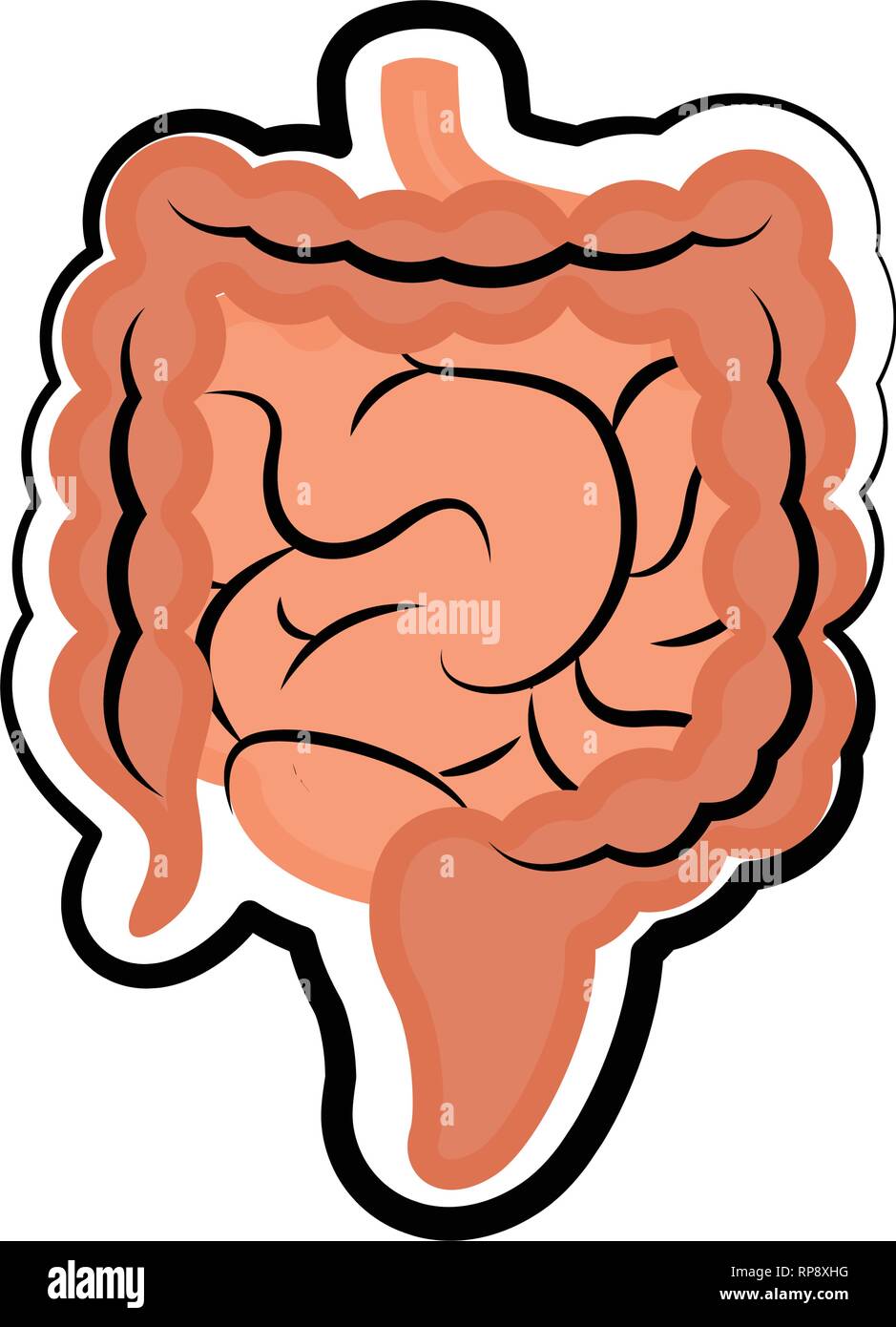 Piccoli e grandi intestini. Schizzo colorati Illustrazione Vettoriale