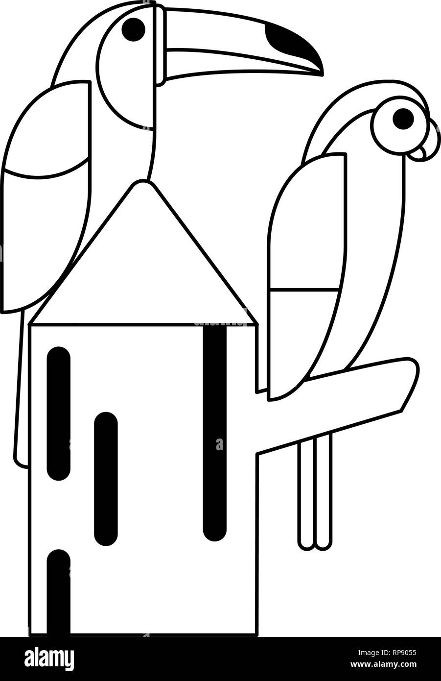 Tucan uccelli esotici in bianco e nero Illustrazione Vettoriale