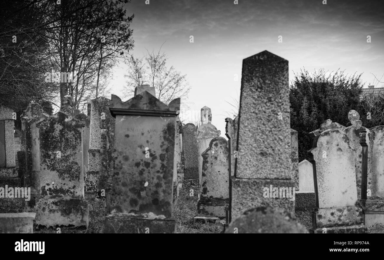 Vista posteriore del soggetto ad atti vandalici tombe con simboli nazisti in blu spray-dipinte sulle tombe danneggiato - Cimitero Ebraico in Quatzenheim vicino a Strasbourg - monocromatico Foto Stock