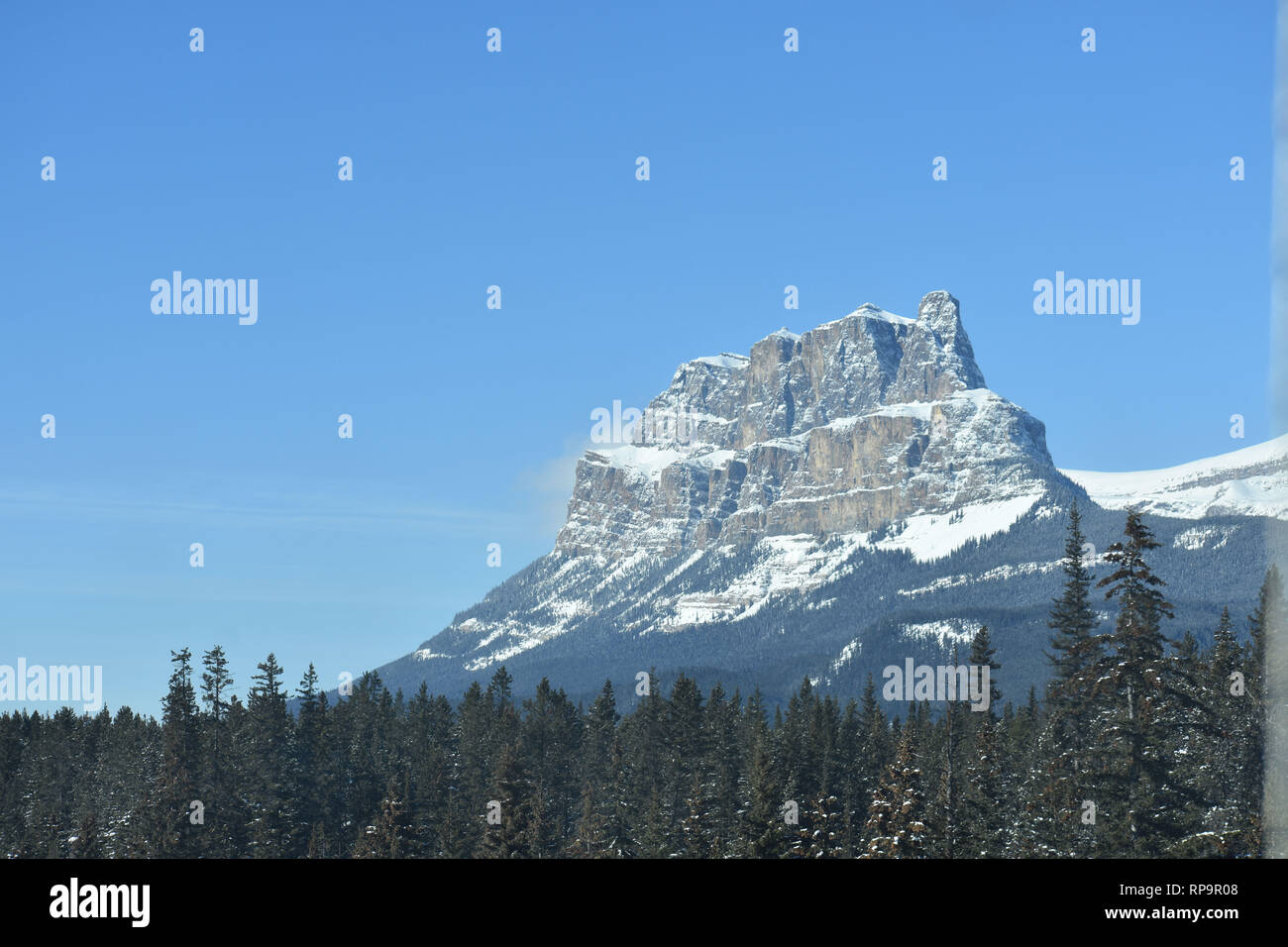 Rocky Mountain sullo sfondo con alberi di conifere in primo piano Foto Stock