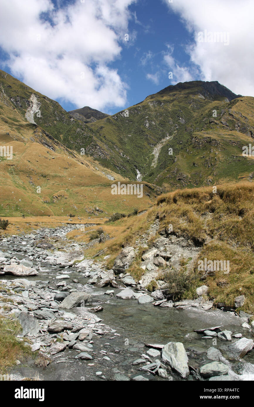 Nuova Zelanda - montagne del Monte aspiranti Parco Nazionale Foto Stock