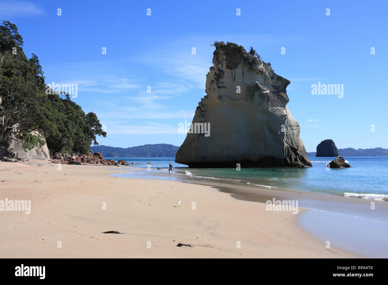 Cove Della Cattedrale in spiaggia a Penisola di Coromandel. Nuova Zelanda, Isola del nord. Foto Stock