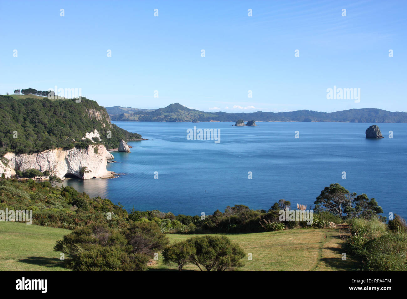 Paesaggio della penisola di Coromandel. Nuova Zelanda - Isola del nord. Foto Stock