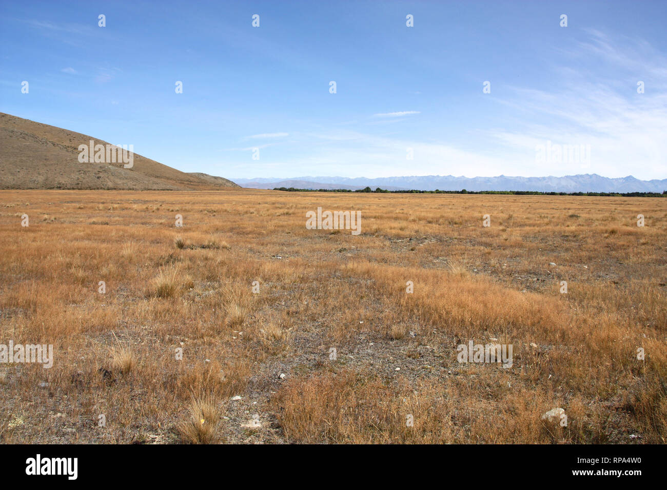 Nuova Zelanda - Canterbury con le montagne sullo sfondo Foto Stock