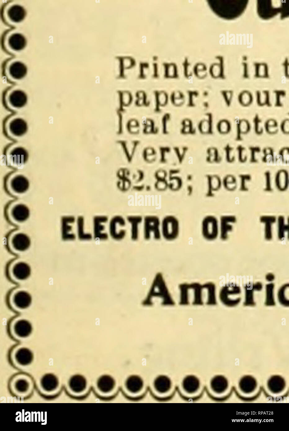 . Il fiorista americana : un giornale settimanale per il commercio. Floricoltura; fioristi. 1905- Th e American fiorista. 177 orchidee! I^ CAaiErA MENDElII. Appena arrivati in fine con- dition tt sbipiuent di questa scarsa e bellissime orchidee. Anche Laelia Ancepa e Oncidium Tigrtuum, ecc. Scrivere per elenco speciale n. 14. Lager & Hurrell, summit, n. j. Orchid i produttori e gli importatori. Si prega di menzionare il un fioraio merican durante la scrittura, GARDENIA PIANTE. (GRAMDIFLORA CAPE JESSAMINE.) i nostri leader di specialità. Crescita naturale con- ditions qui ideale; Luisa Rossi racconta la propria storia. ^A^e ritengono di non poter essere eguagliato elsew Foto Stock