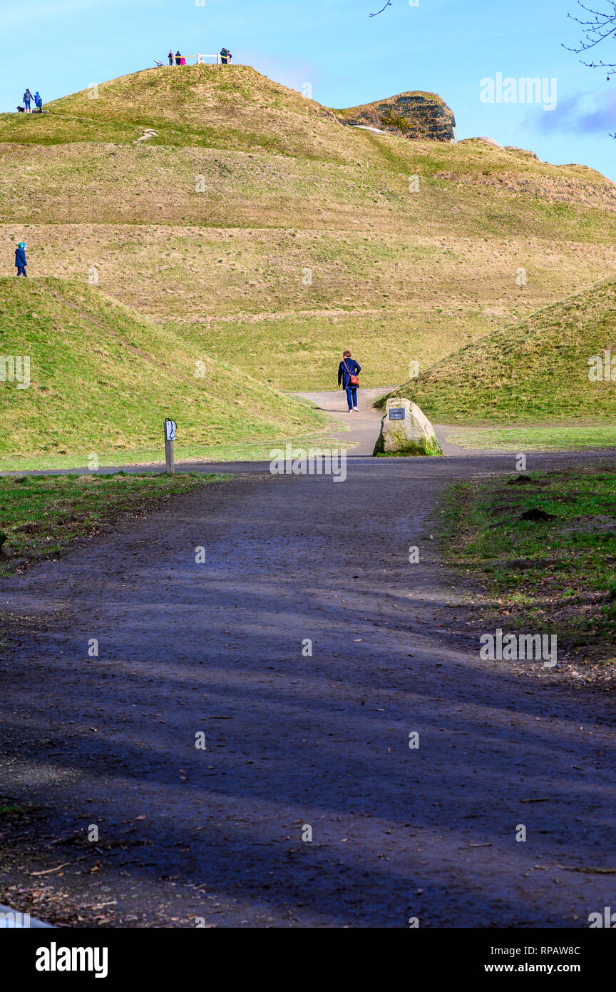 Terra Northumberlandia scultura, Northumberland, Regno Unito Foto Stock