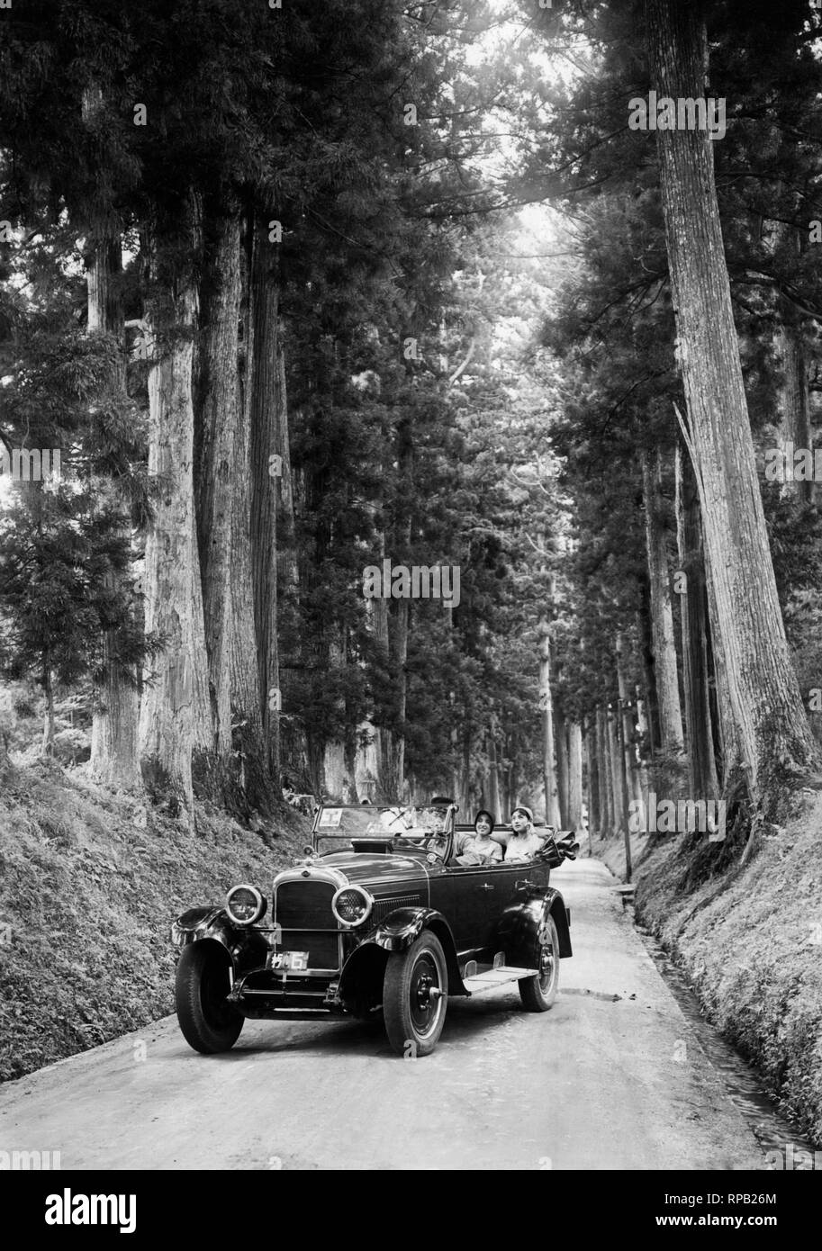 Giappone, nikko, tour tra gli antichi alberi di cryptomeria avenue, 1910-20 Foto Stock