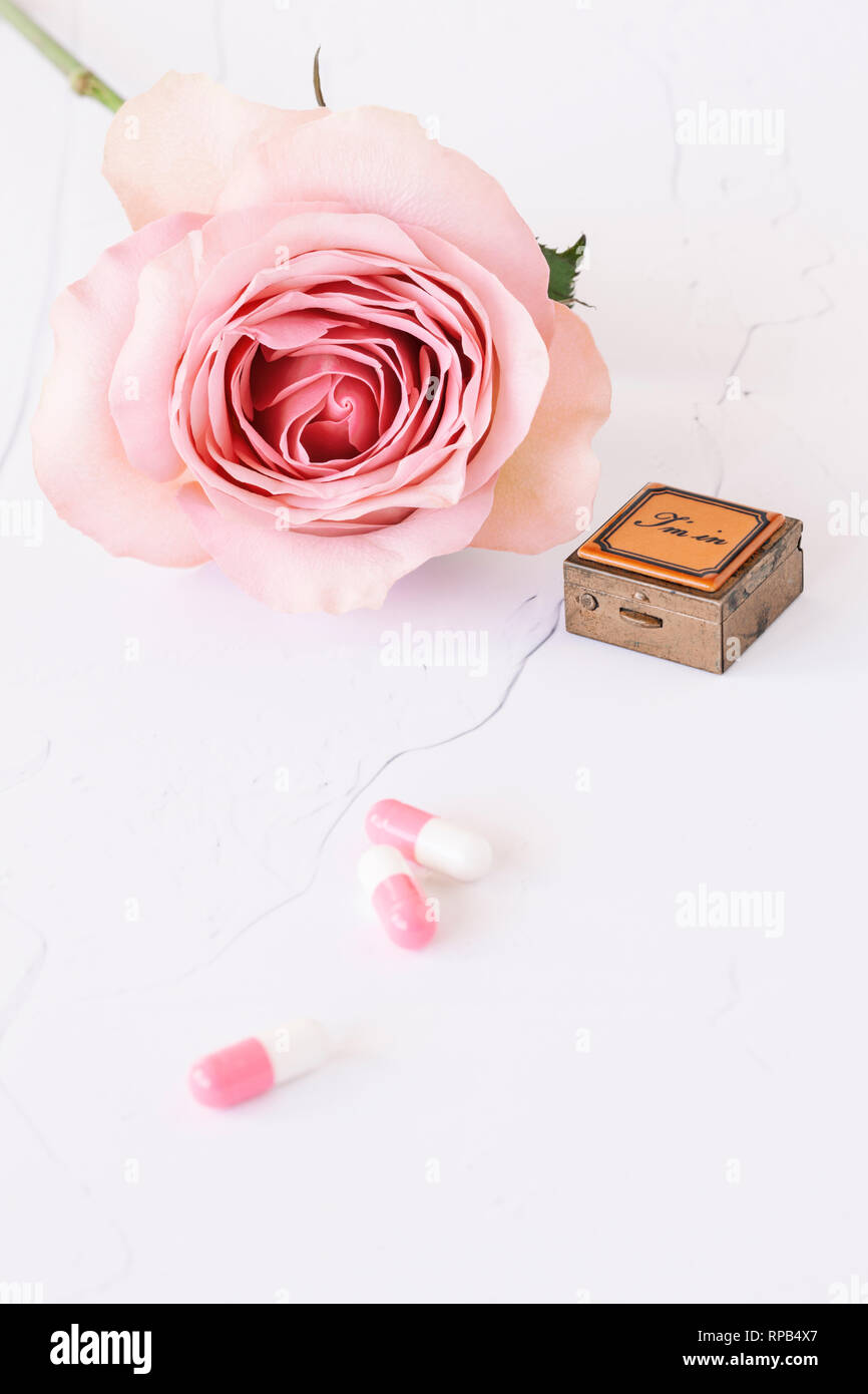 Single rose con piazza porta pillole e rosa e bianco compresse Foto Stock
