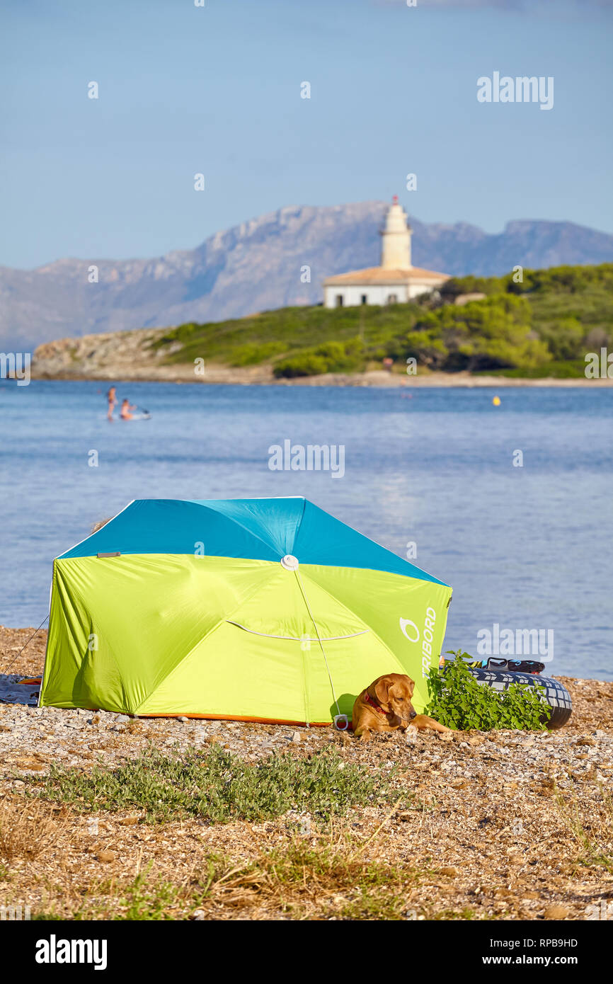 Mallorca, Spagna - 16 agosto 2018: una tenda con cane guardia su una spiaggia con con Alcanada Faro de Alcanada) in distanza. Foto Stock