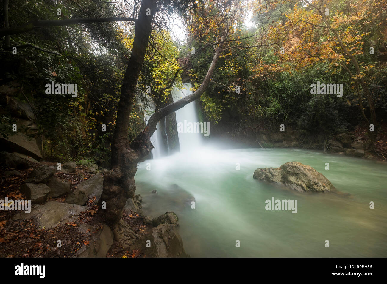 Hermon fiume riserva naturale, Israele Foto Stock