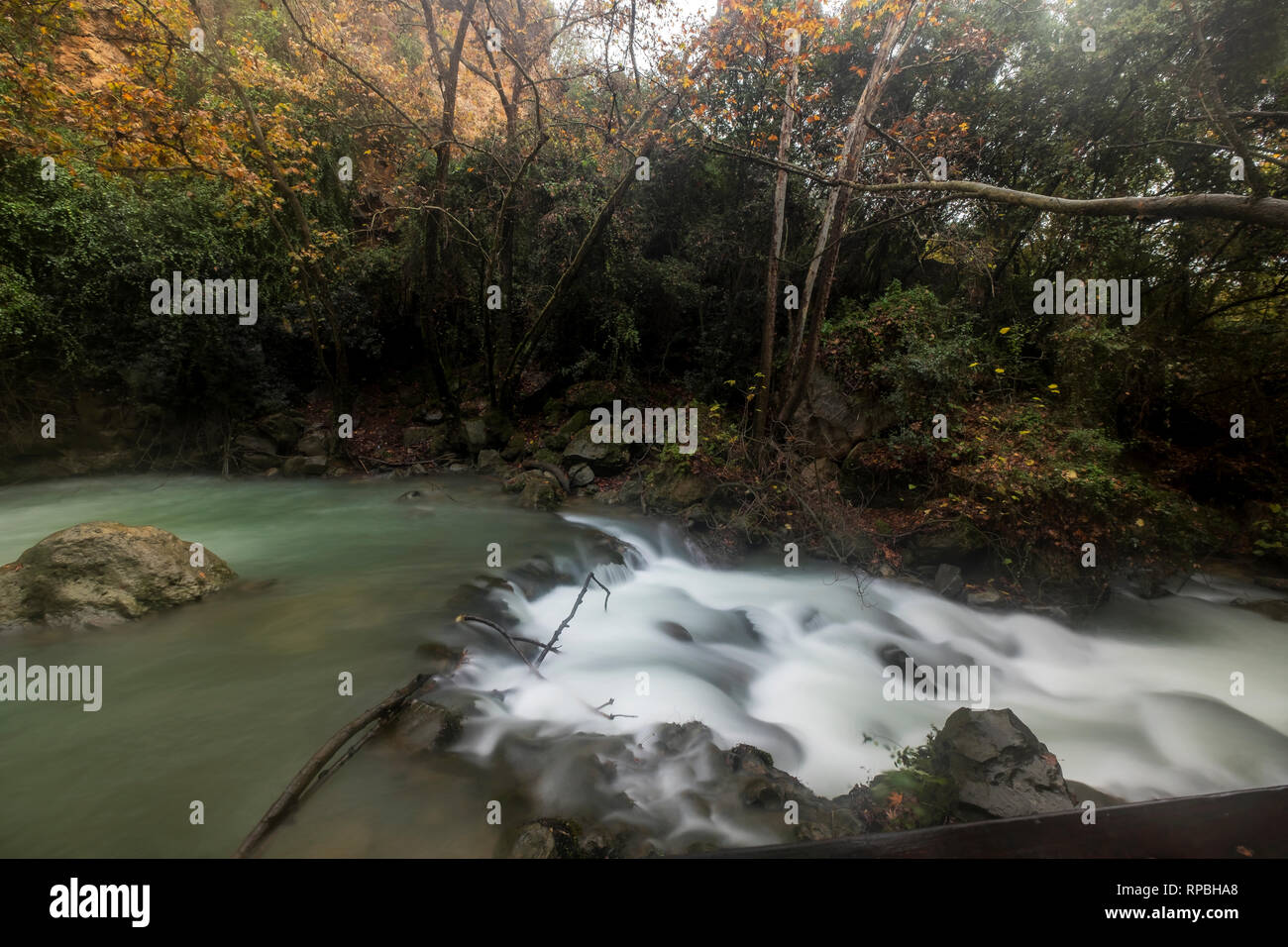 Hermon fiume riserva naturale, Israele Foto Stock