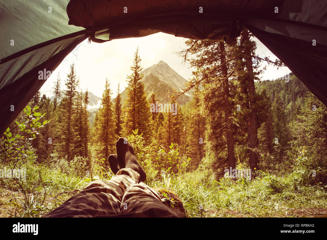 Le montagne e la foresta con alberi verdi vista dall'interno della tenda. Foto Stock