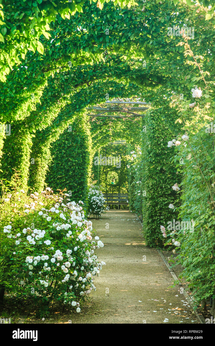 Orsan priory giardino, francia : intorno al parterre una corsia di bowers e rose (menzione obbligatoria del giardino nome e nessuna pubblicità uso senza pri Foto Stock