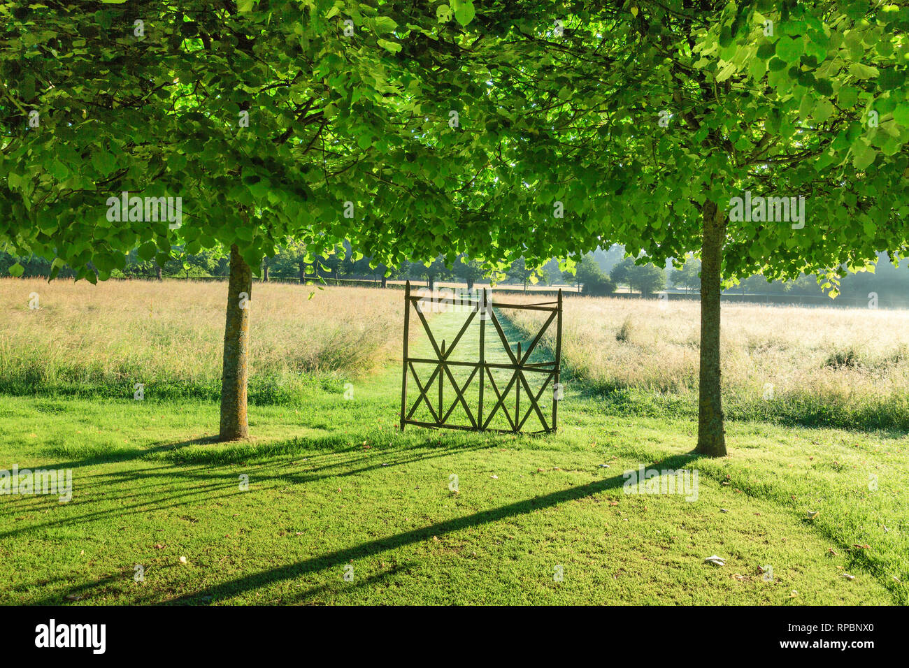 Orsan priory giardino, francia : una pergola il pannello verso il prato fiorito (menzione obbligatoria del giardino nome e nessuna pubblicità uso senza precedenti Foto Stock