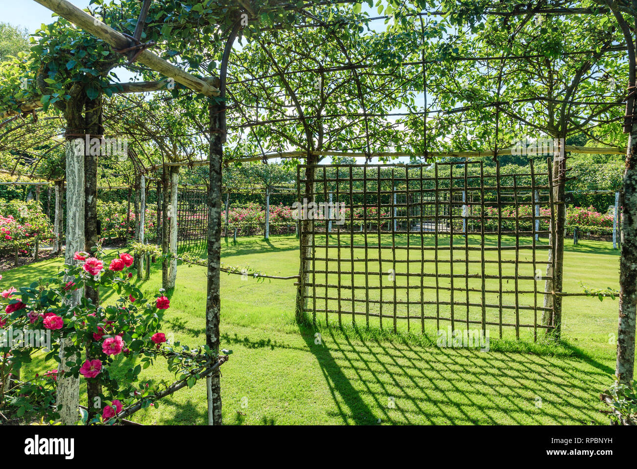 Orsan priory giardino, francia : i tre Orchard chiostro chiuso e spazio rotondo piantato nel confine dei roseti gallico Rose delle Streghe ' (obliga Foto Stock