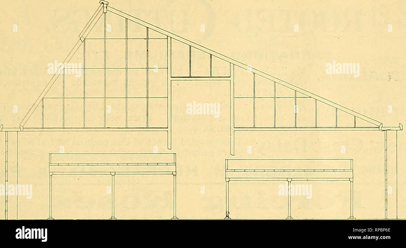 . Il fiorista americana : un giornale settimanale per il commercio. Floricoltura; fioristi. /Sg^. Il fiorista americano. &Gt;M. Forzare HOUSE "con breve intervallo al sud. passò in rassegna tutte le fasce di ottone, la maggior parte delle società segrete, e nessun numero trascurabile di semplici cittadini, era atteso da molti per ravvivare le vendite tramite il numero di occhi-veggenti e ricercatori di piacere attratto verso la città, ma, anche se un grande successo come una sfilata, sembra sia stato un fail- ura come lontano come fare affari per i fioristi era preoccupato in quanto non è stato visto che pensavano che le sue vendite sono aumentate in quel giorno. I sigg. Gall Foto Stock