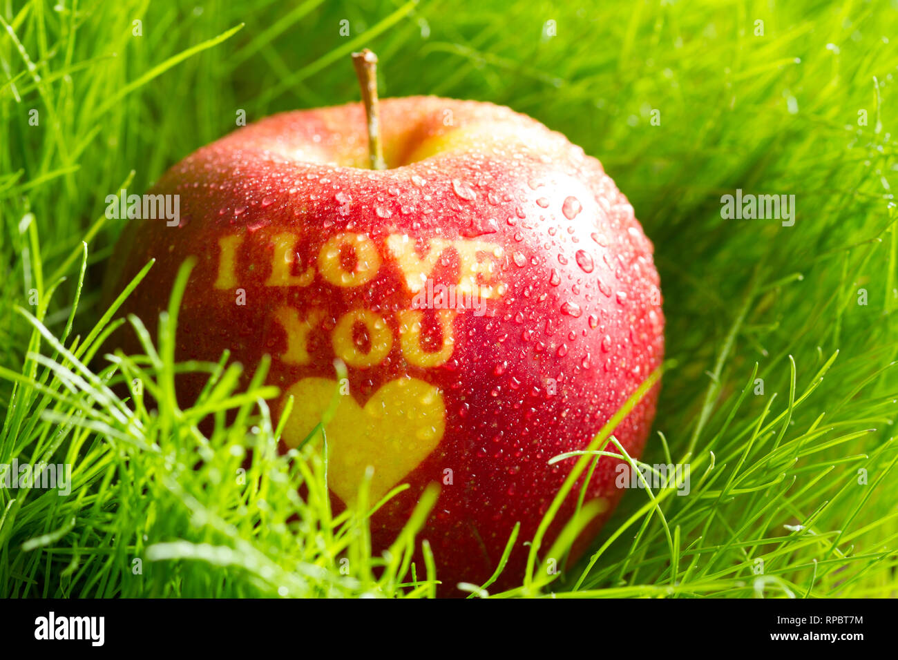 Apple organico in erba di primavera con iscrizione ti amo uno stile di vita sano concetto Foto Stock