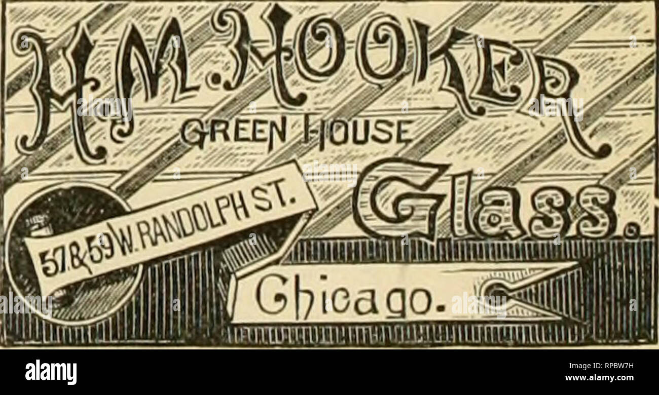 . Il fiorista americana : un giornale settimanale per il commercio. Floricoltura; fioristi. Fioristi' lettere, emblemi. Monogrammi. Il brevetto etc AI'I'I.IEI) I'unità organizzativa. Queste lettere ere fatta ot ilie bewt Ininiortelles, wired &LT;in legno o cornici in metallo con fori per inserire il dente- picks. Inviare per gample. 2-iri. viola per il Regno Unito). $.s 00 ir rtaye&GT;ctM. per 100. Anche in liealer Hori.Il suo Sup ptiej*. Inviare f&LT;:Catalogo ir. W. C. KRICK. 12,S7 Hroadway, Brooklyn, New York. M. Bayersdorfer &AMP; Co., I'hila., AKts. per Penna. fl. &Lt; ". Viiuj;Iiaii" Chicago, arte. a ovest della penna. Una linea completa di campioni al Co Foto Stock