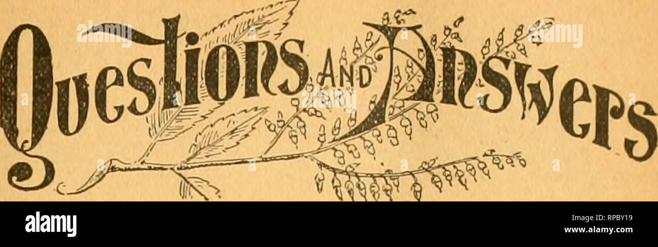 . American bee journal. La cultura delle api; le api. 1896. La AMERICAN BEE JOURNAL. 729 lato filo verso il basso tra i due telai, in modo che le api nell'alveare avrà opportunità di comunicare liberamente con la regina e le api in gabbia, e quindi di permettere loro di essere venuto a conoscenza gli uni con gli altri. Se i frame sono coperti con bordo, sarà betterto sostituire con un panno pesante per questo fino a quando la regina è rilasciato. Lasciare le api e la regina in gabbia sull'alveare per due o tre giorni e quindi aprire il file hive e cacciare fuori la vecchia regina, prestando attenzione a disturbare le api come poco come possibile. Come soo Foto Stock