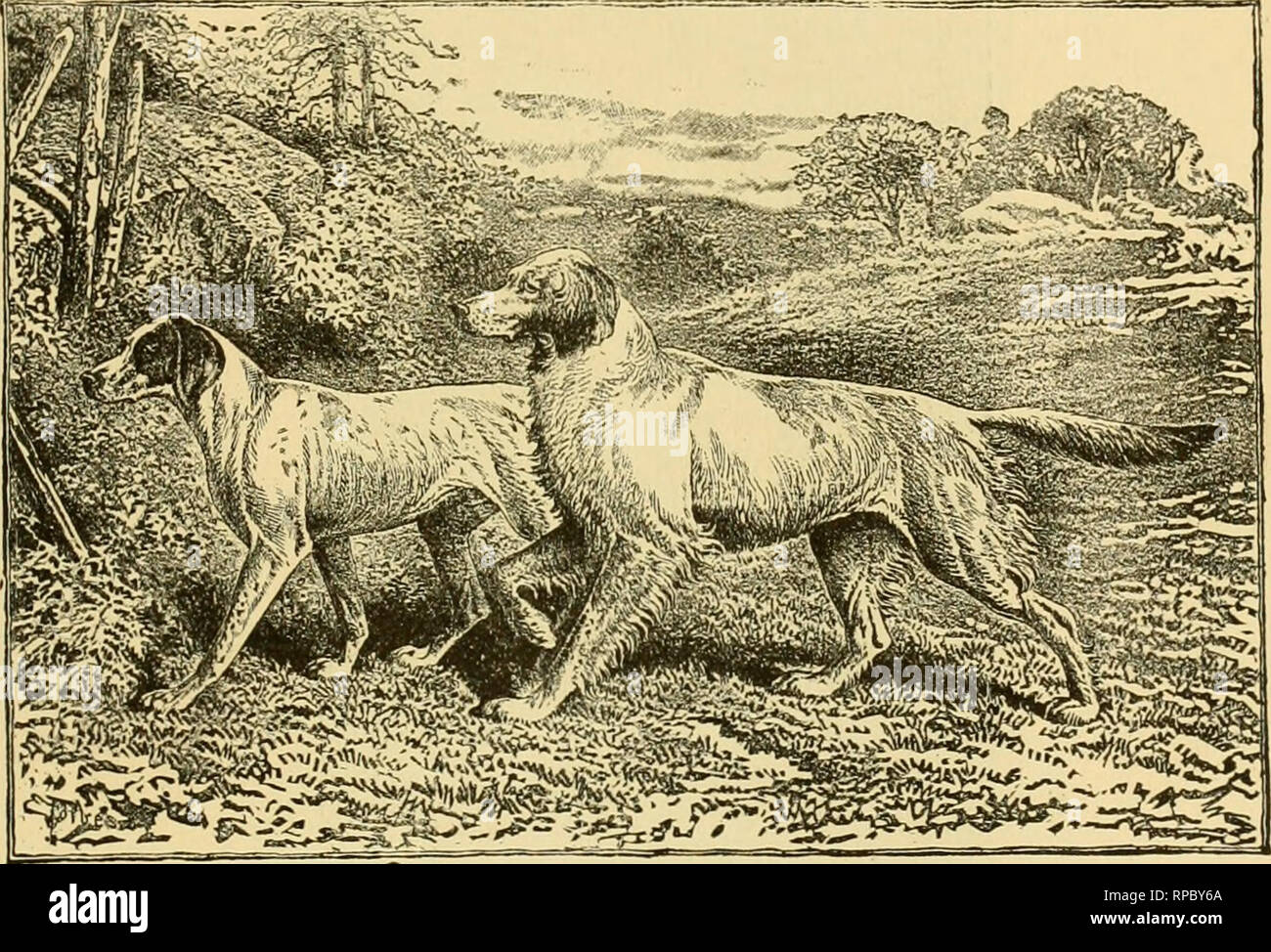 Albanian American Immagini Albanian American Fotos Stock Alamy