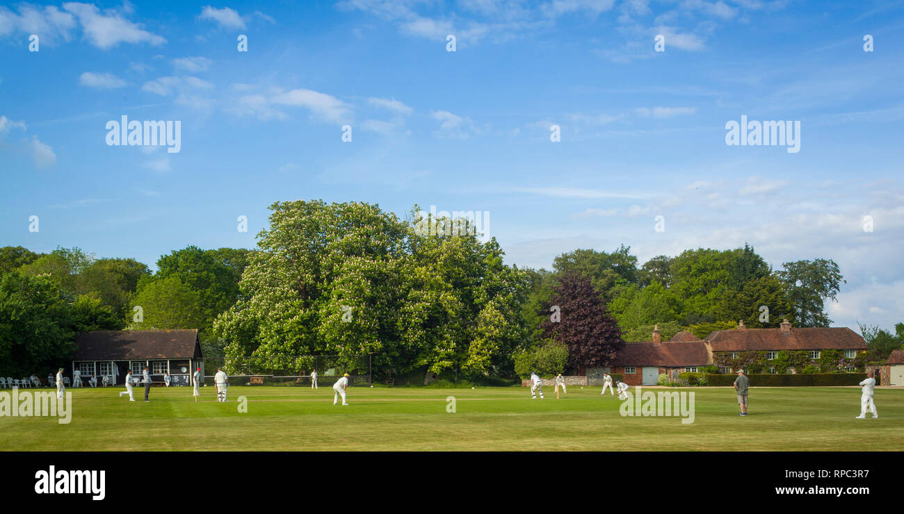 Un estate partita di cricket sul grigio verde Rotherfield Grays, Oxforshire. Foto Stock