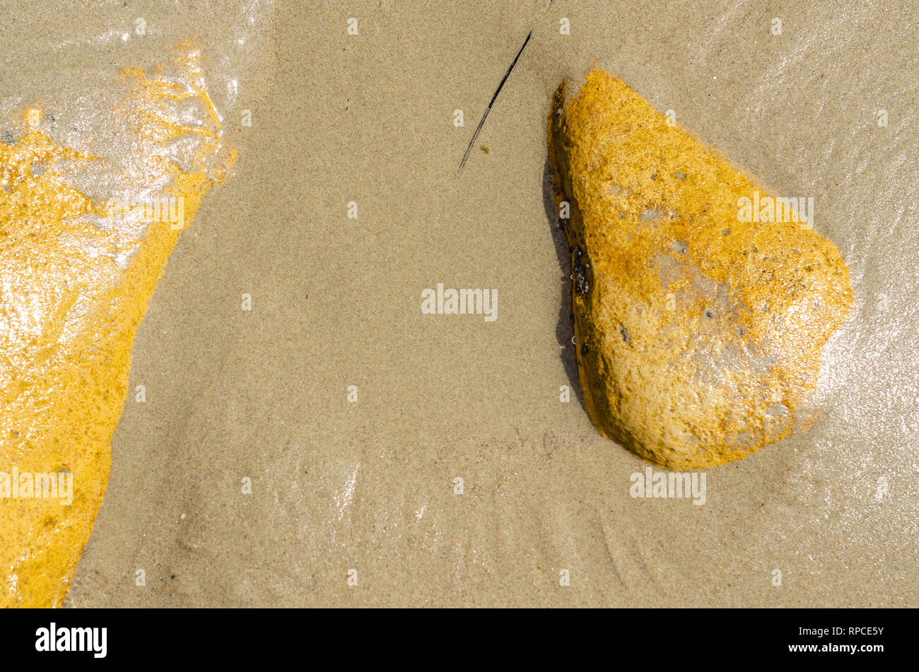 Primo piano di rocce sulla spiaggia dopo l'alta marea, Refugio state Beach, Goleta, CA. Foto Stock