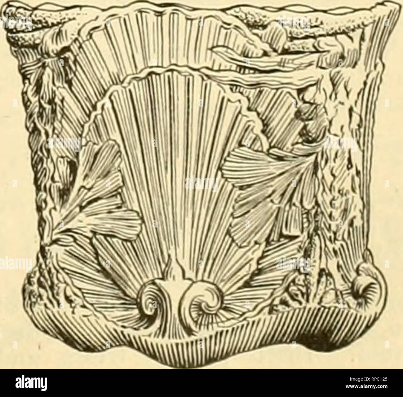 . Il fiorista americana : un giornale settimanale per il commercio. Floricoltura; fioristi. Per 1 dozzina di 2H-ln. 2H-ln. 3-a. 3&GT;4-a. 4-ln. Wn. 6 pollici pentole. F. W. BIRD &AMP; m^, fabbricanti di suola, EAST WALPOLE, mass. I VITIGNI. (Stranieri). Tutte le principali varietà per la coltura sotto la brillantezza. Nei seguenti formati: 1 anno. 2 s;eara. ed extra forte. Anche Pe"tolies e Nertarines appositamente preparati per forzare in vasi ampl tuba ordini prenotati per appositamente preparate le piante fruttifere di vitigni. Le pesche noci e le nettarine, pesche, Strawber les. Caduta del ''.U consegna. JOHN G. GARDNER, W non si rompono. Venduto da tutti i concessionari. Foto Stock