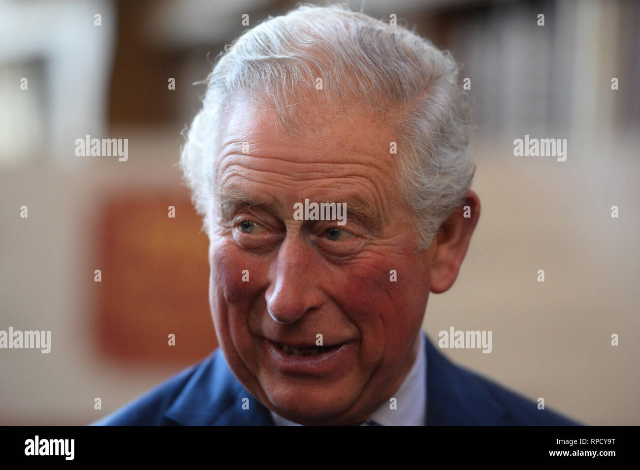 Il Principe di Galles durante la sua visita a Lambeth Palace di Londra, dove ha presentato il Cranmer premi al libro di preghiera della società trentesimo concorso annuale. Foto Stock