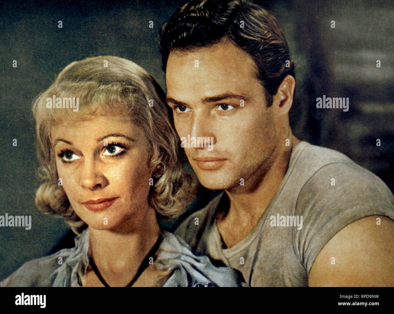 LEIGH,Brando, A Streetcar Named desire, 1951 Foto Stock