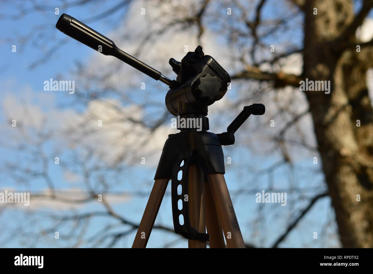 Un treppiede nel cielo blu con sfondo di foresta Foto Stock