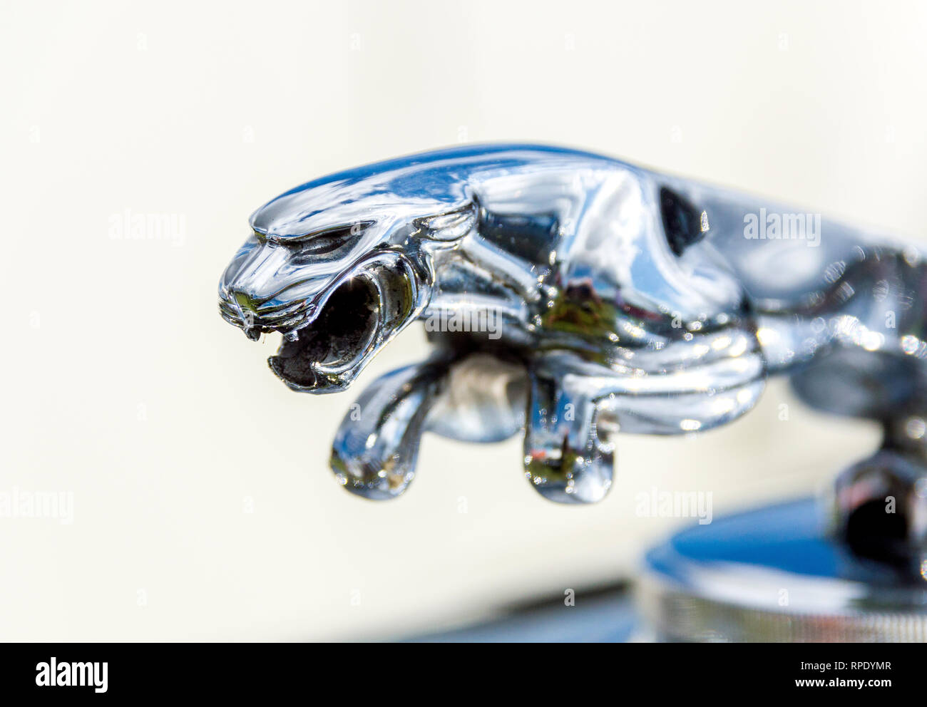 Mascotte del cofano Jaguar (Off MK1v) Foto Stock