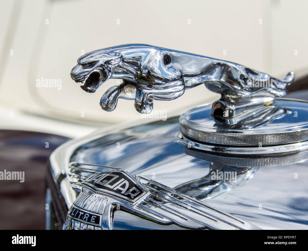 Mascotte del cofano Jaguar (Off MK1v) Foto Stock