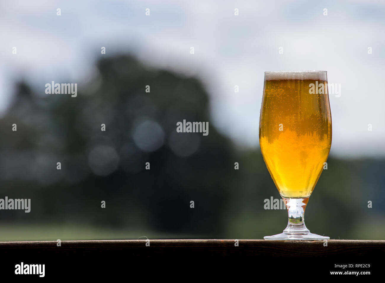 Bicchiere di birra chiara con schiuma e bolle sul tavolo di legno sulla natura dello sfondo. La birra è una bevanda alcolica fatta da lievito di malto fermentato aromatizzati wi Foto Stock