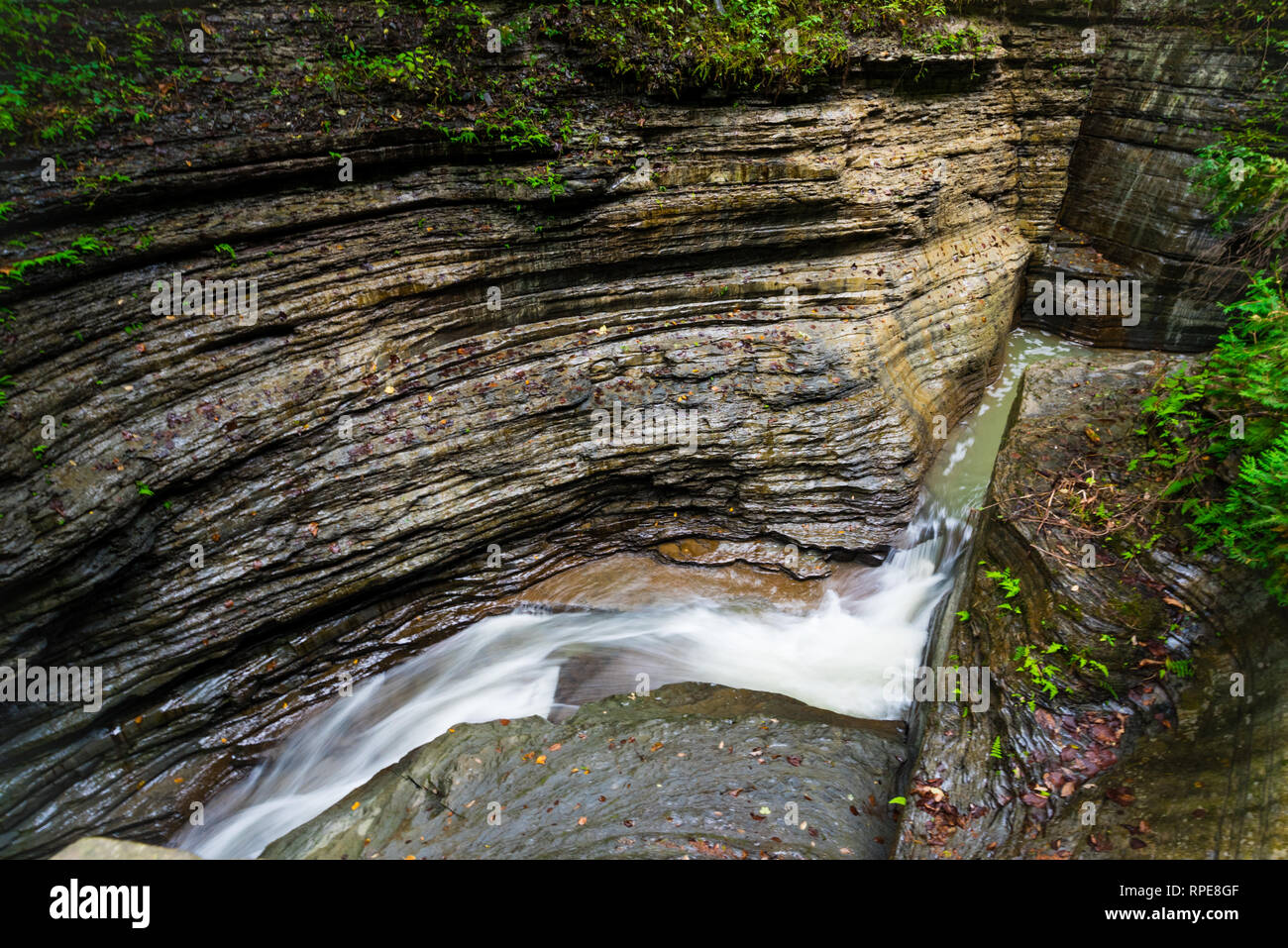 Scena di Watkins Glen State Park, NY Foto Stock