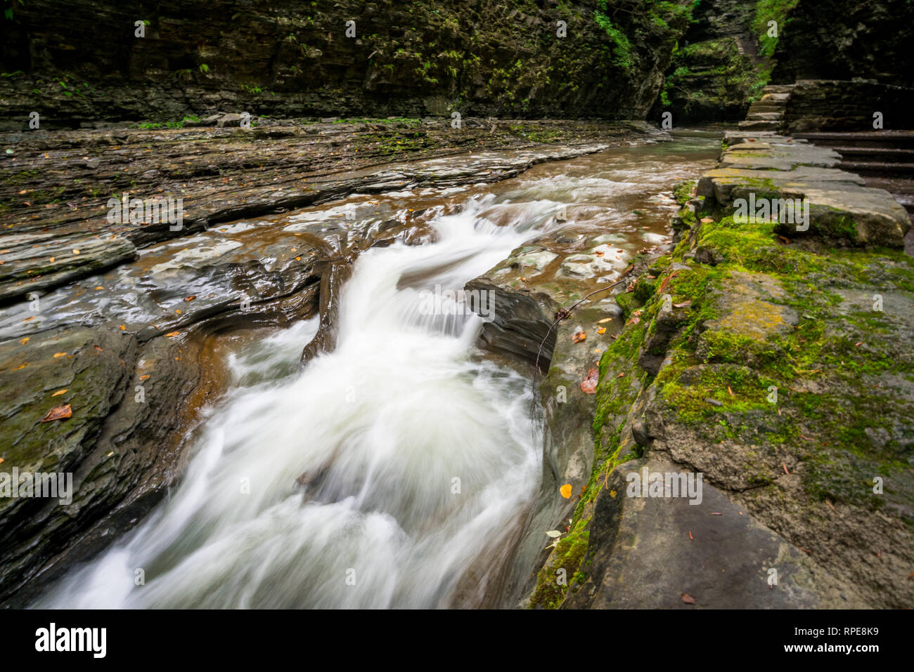 Scena di Watkins Glen State Park, NY Foto Stock