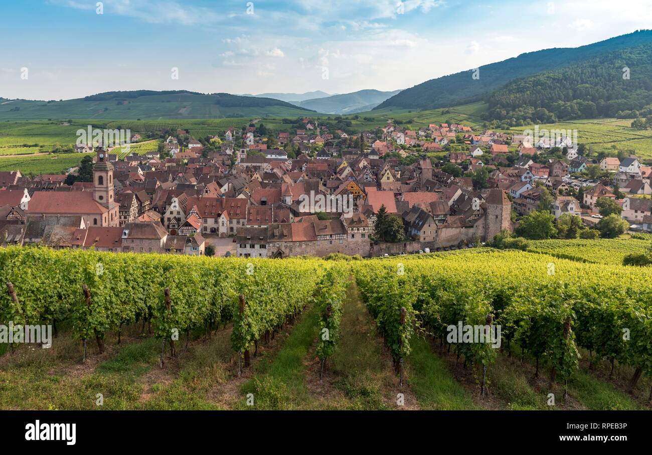 Vista di Riquewihr, strada del vino in Alsazia, Francia Foto Stock