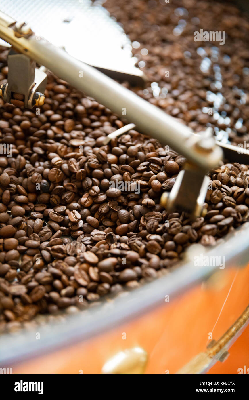 Materie organiche chicchi di caffè La tostatura in produzione su piccola scala Foto Stock