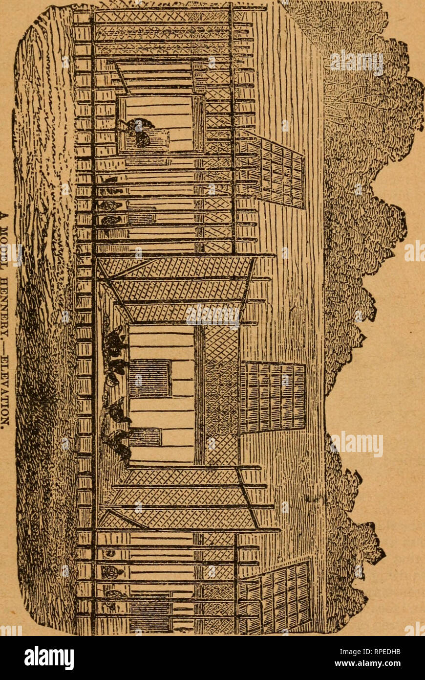 L'azienda americana e magazzino manuale. Agricoltura; economia domestica.  THli: pollame TAtiD. 191 Stealth - Arma suprema di uccelli e la separazione  delle diverse varietà, insieme con tutti i moderni miglioramenti, da