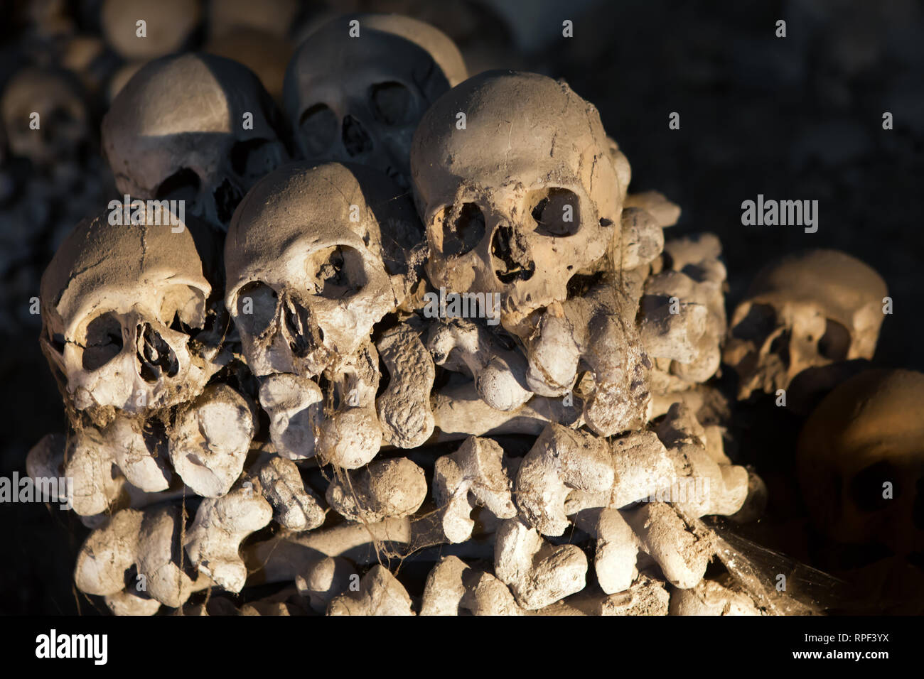 Napoli - teschi alle Fontanelle cimitero. Il cimitero in una grotta risale al XVI sec.. Foto Stock