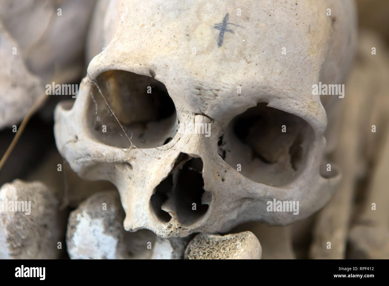 Napoli - teschi alle Fontanelle cimitero. Il cimitero in una grotta risale al XVI sec.. Foto Stock