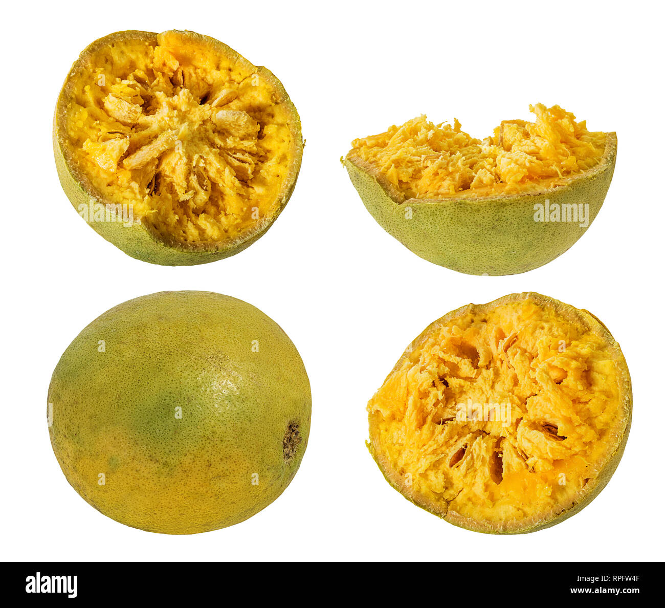 Bael frutti o legno frutto di apple (Aegle marmelos) su uno sfondo bianco Foto Stock