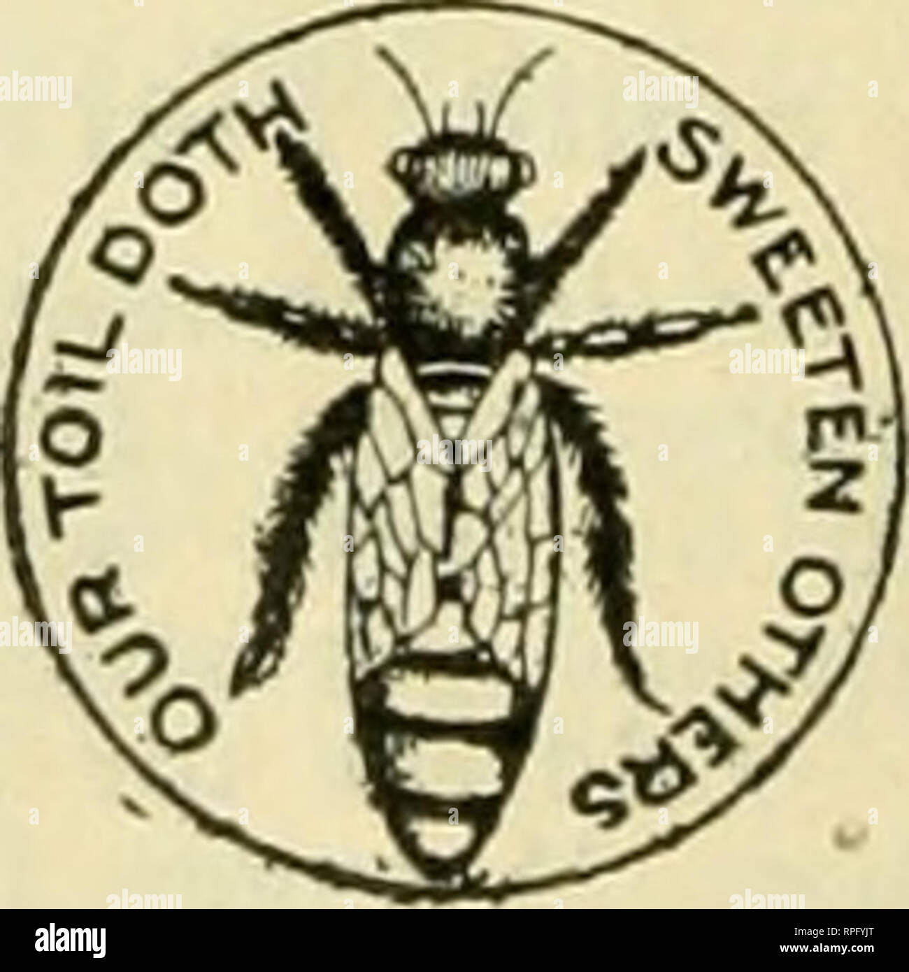 . La American bee keeper. Bee cultura; miele. Volevo EMiEOHWf, Mail campione, aride quotj sempre^^^^ il prezzo espresso qui&GT; abbiamo mandato rm^^ dlately su rex;eipt di shiprnent. La FRE0 W. MUTH ANDARE., n. 51 Walnut Street, riferimenti: nazionale tedesco di'Banca, Cincinnali. 0, qualsiasi agenzia Mercantile, o Editor. GINCINNATIv O. australiani. Nota l'indirizzo- Pender Bros., West Maitland, Nuovo Galles del Sud, Australia. I più grandi produttori di apicoltori' fornisce in tlie emisfero sud, e gli editori della AUSTRALASIAN apicoltore, leader di bee ufficiale a sud dell'equatore. Copia campione e 64-pa Foto Stock