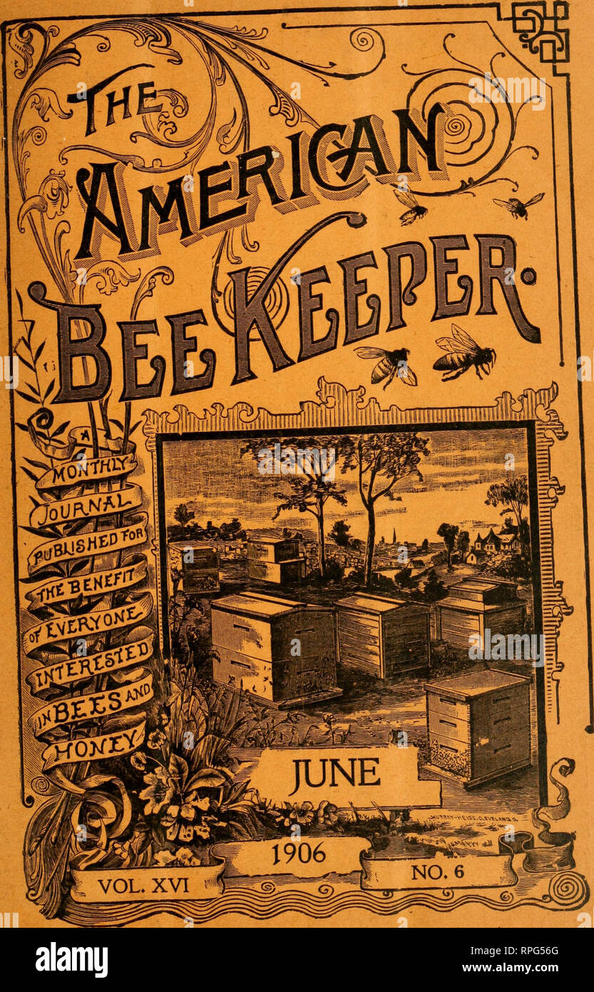 . La American bee keeper. Bee cultura; miele. . Si prega di notare che queste immagini vengono estratte dalla pagina sottoposta a scansione di immagini che possono essere state migliorate digitalmente per la leggibilità - Colorazione e aspetto di queste illustrazioni potrebbero non perfettamente assomigliano al lavoro originale. Falconer, N. Y. : W. T. Falconer Manfg. Co. Foto Stock