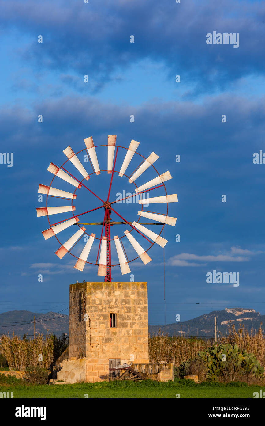 Il mulino a vento per il pompaggio di acqua in scena rurale vicino a Campos, Maiorca, isole Baleari, Spagna Foto Stock